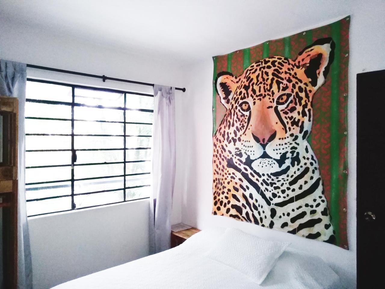 Selvatica Alojamiento Eco (Adults Only) เมเดยิน ภายนอก รูปภาพ
